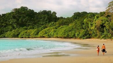 Manuel Antonio National Park Costa Rica