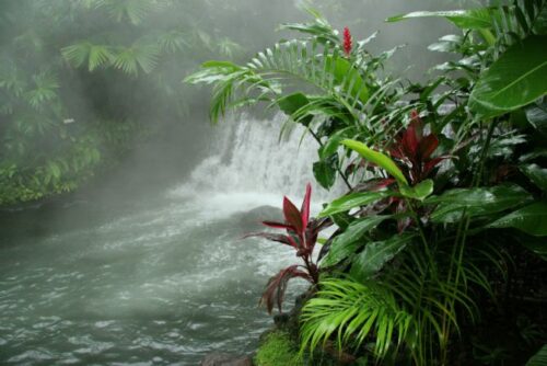 Tabacón Resort Aguas Termales