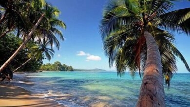 Parque Nacional Cahuita. Limón, Costa Rica