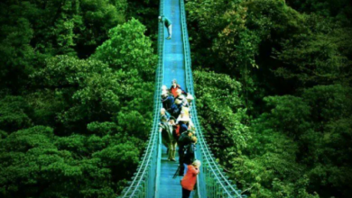 Monteverde Costa Rica