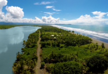 Reserva Palo Seco