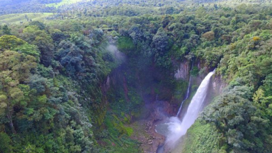 Catarata San Vicente