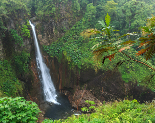 Catarata San Vicente