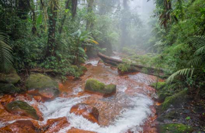 Aguas Termales en el Braulio Carrillo