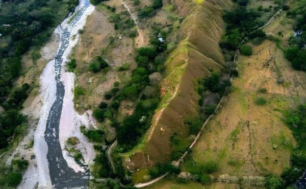 Cola de Dragón - Costa Rica